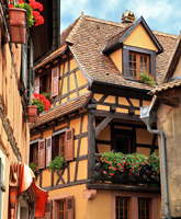 Alsace and Black Forest Biking Trips